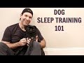 HOW TO GET YOUR DOG TO SLEEP IN HIS OWN BED HOW TO GET YOUR DOG TO SLEEP IN HIS OWN BED