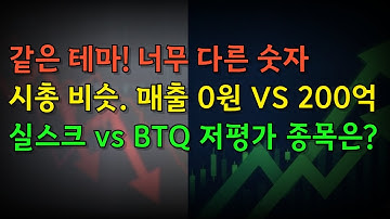 실스크 vs BTQ 저평가 된 종목에 투자해라