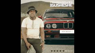 Ndumiso igusheshe  