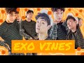 EXO vines that feel like Paradise