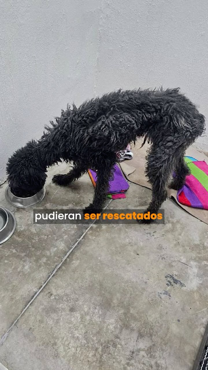Es urgente que todo México sepa esto