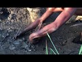 Amazing Man Catching A Lot Of Fish In Mud And Save Dry Fish In The Canal To Deep Pond