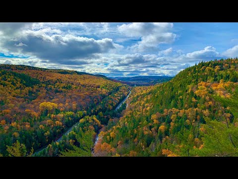 Clear Your Mind (Spoken Word with Elena Brower)