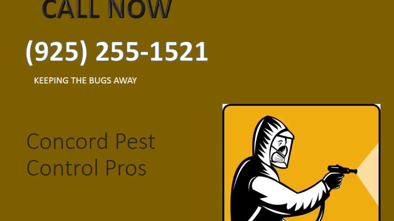 Concord Mice Exterminator - Local Mice Control Service in Concord