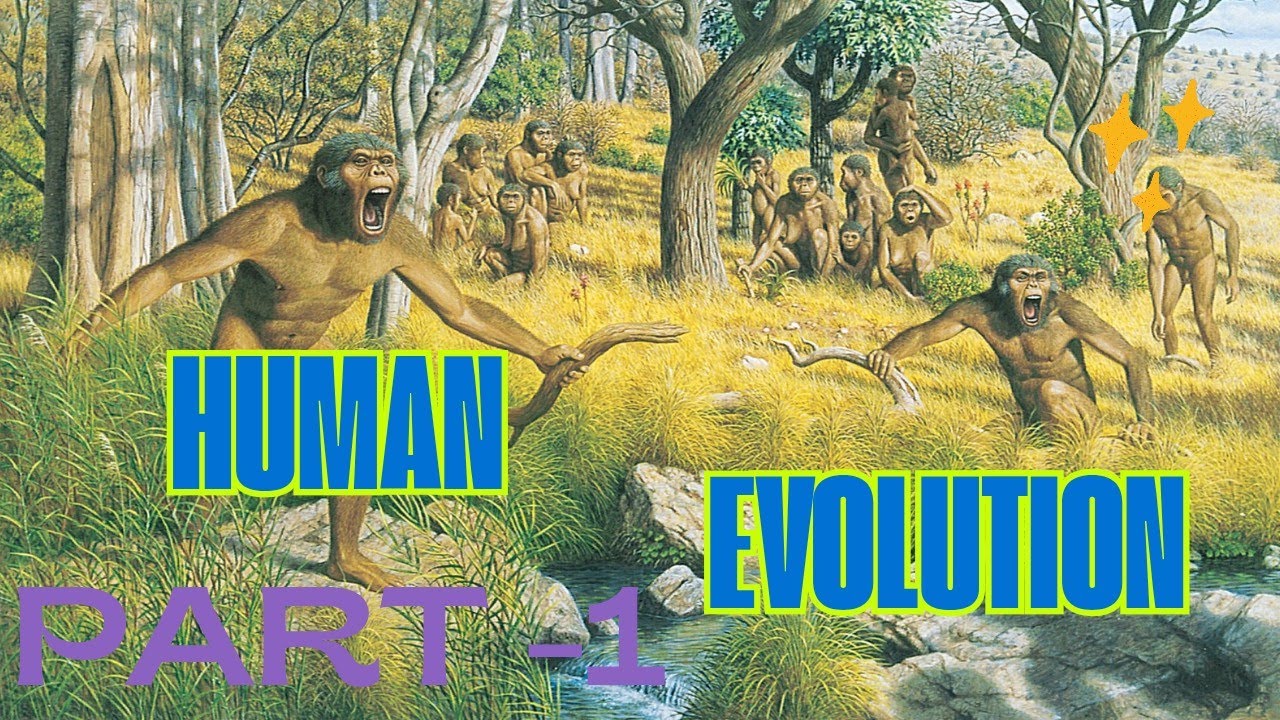 Human Evolution 9th Class (Part - 1) - YouTube