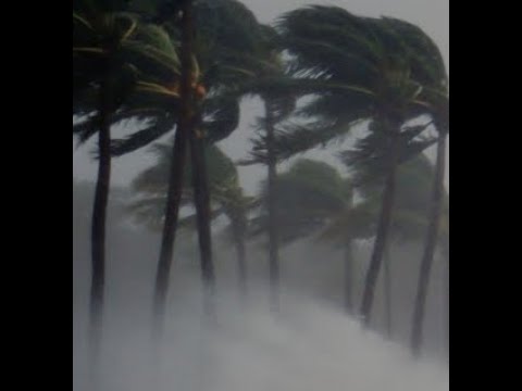 Aula 1 do Curso Mudanças Climáticas e Sustentabilidade: conceitos e práticas