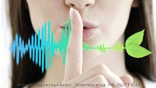 Холодильник SAMSUNG RL52TEBSL(, 2013-02-27T11:37:13.000Z)