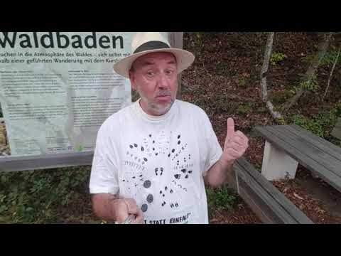 Der Grimm als Waldschrad