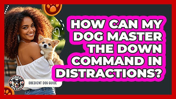 How Can My Dog Master The Down Command In Distractions? - Obedient Dog Guide