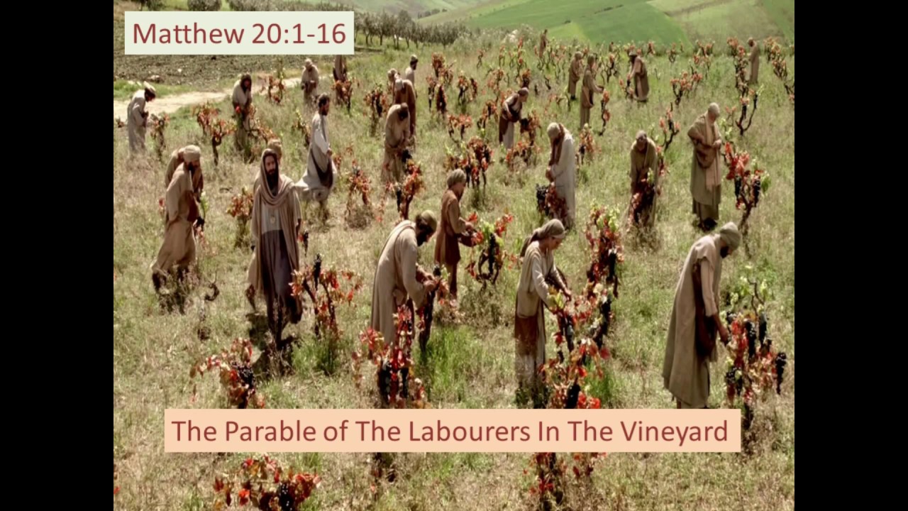 Parable Of The Laborers In The Vineyard Matthew 20 1 16 YouTube parable-of-the-laborers-in-the-vineyard-matthew-20-1-16-youtube