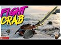 ANGRY FIGHTING CRABS - Fight Crab Gameplay - The ONLY game with GIANT FIGHTING CRABS WITH WEAPONS!