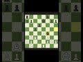 Natural moves. Brutal result. Checkmate. 👑♟️ #chess #checkmate