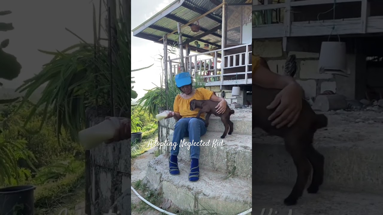 Visitor at Dragon Fruit Plantation @MalinaoWestFarm 