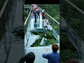 Glass Bridge Shatters Underfoot! 😱 Tourists in Shock! #shorts #glassbridge #skywalk #skybridge