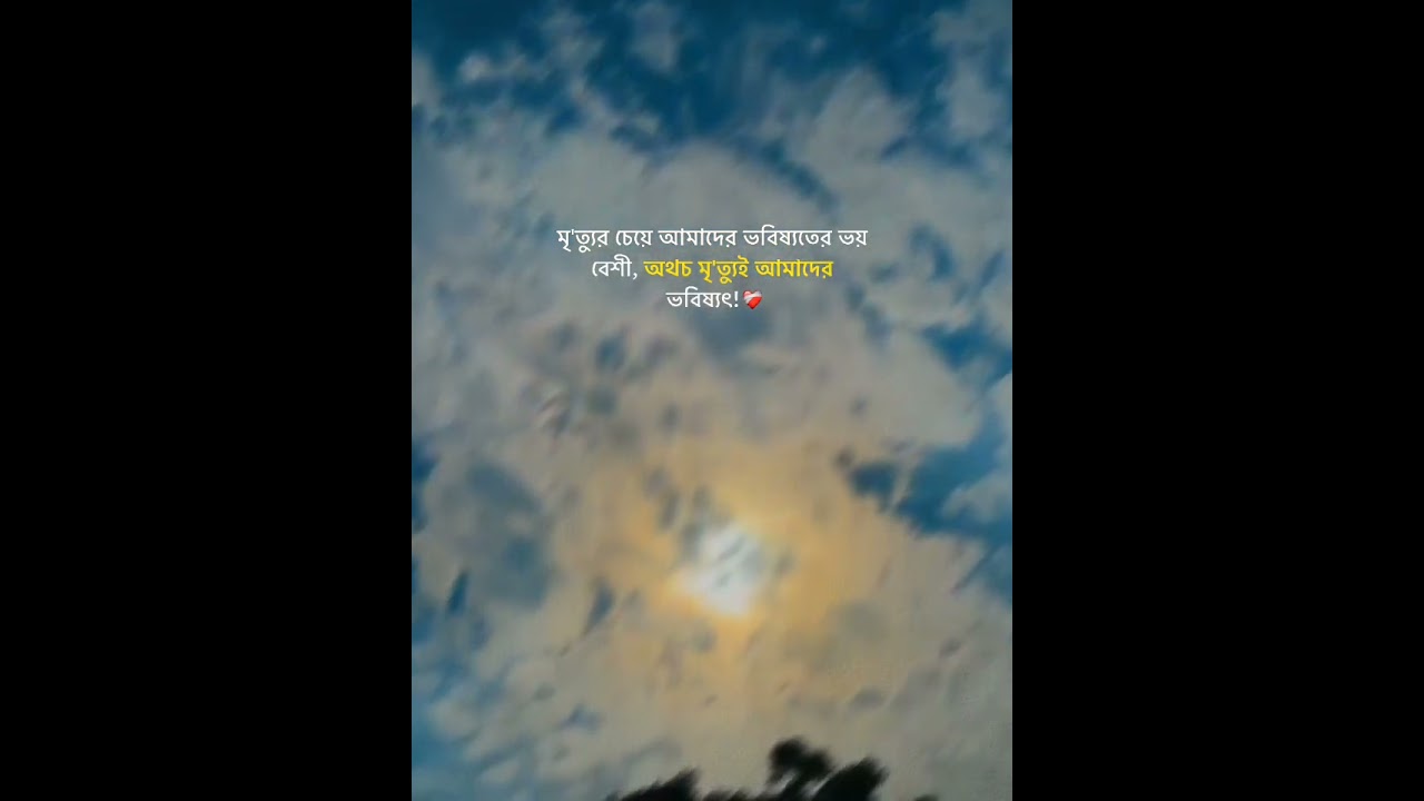 Guided by Faith on the Path of Halal Living