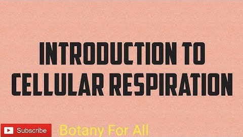 INTRODUCTION TO CELLULAR RESPIRATION NEET|GATE|CSIRNET|MSc|BSc|BOTANY|LIFESCIENCE