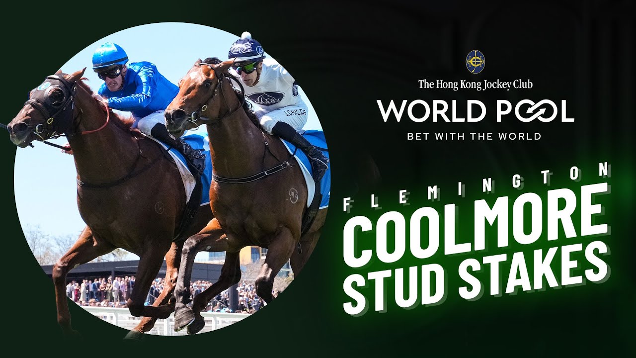 Hold All Tickets World Pool Preview - Coolmore Stud Stakes