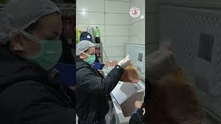 Zabıtadan Gıda Güvenliği İçin Tam Denetim