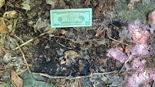 2020 Tucker County WV Bigfoot Excursion Pt.1