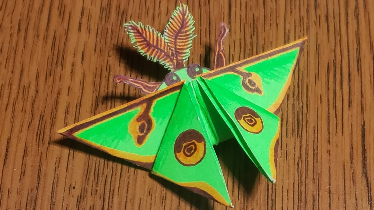 Origami Moth Pattern How to make a paper / origami moth: A tutorial video - YouTube