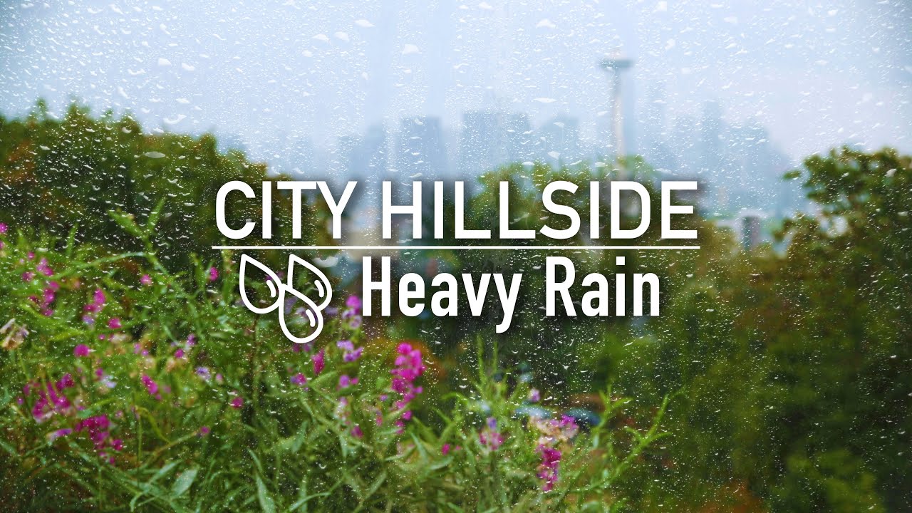 Heavy Rain on Distant Hillside | Real Video, Real Rain, No Video Loops, Real Audio | Sleep Sounds