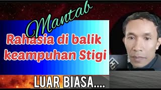 RAHASIA KAYU STIGI YANG TIDAK BANYAK ORANG TAU