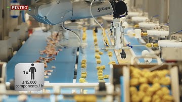 Fully Automatic Skewer Machine - Presentation video - PINTRO Pick & Skewer