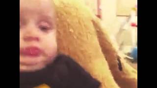 Download Lagu Baby cries when violin plays MP3