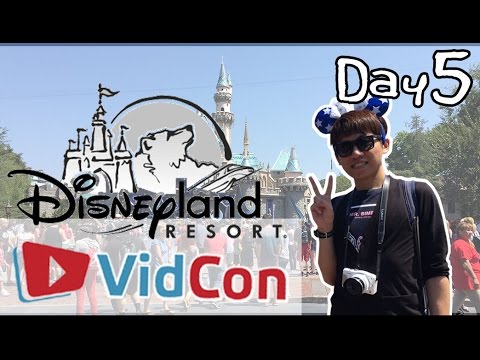 Vidcon2016 Day 5︱Disneyland day trip! !