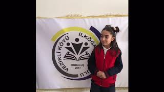 Yüksekova Vezirli Köyü Ortaokulu Aralık Ayı Haber Bülteni