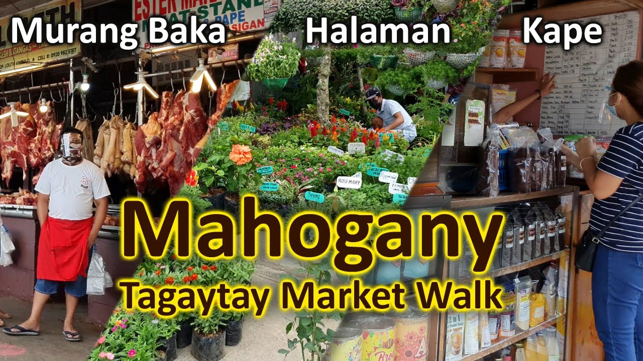 Mahogany Market Tagaytay Walk Tour- Beef,  Coffee Beans, Plants at Seedlings.