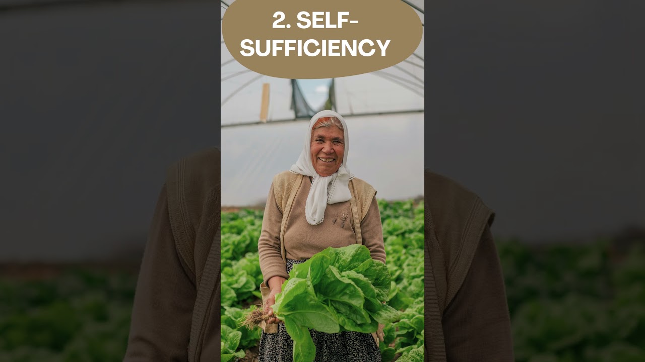 Best Medicinal Garden Kit #shorts  #garden