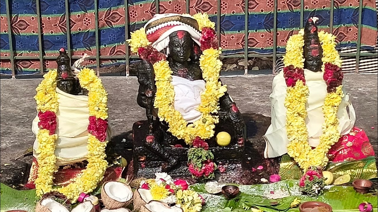 குருவித்துறை அய்யன் கருப்புசாமி மாசி திருவிழா 2026