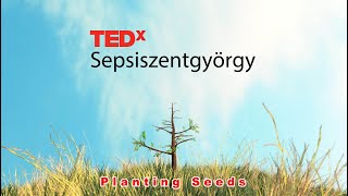 Planting Seeds TEDx animation 4K tedx tedxtalks