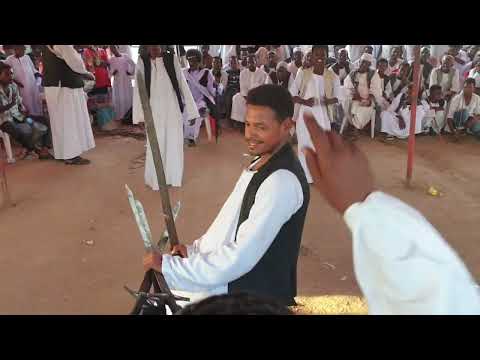 اغاني تراث شرق السودان الفنان حامد عبدالله