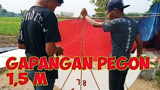 Menaikkan Gapangan Pegon 78 Ukuran 1,5 m