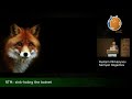 RTM: Sink-Holing The Botnet