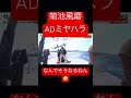 #菊池風磨 #ADミヤハラ #菊池風磨構文 #shorts