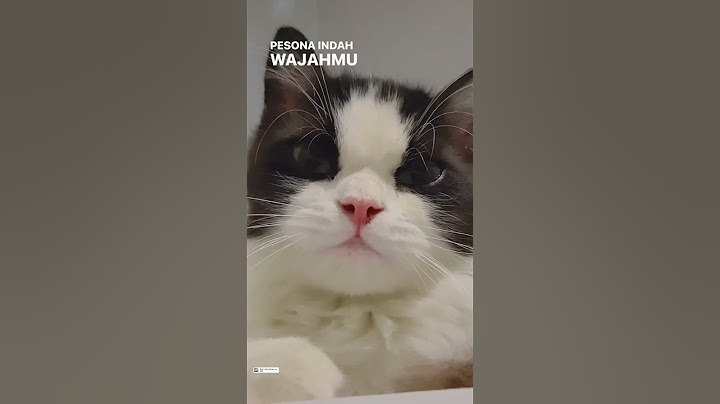 Cantik banget sih 😍
