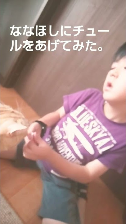 ななほしにチュールをあげてみた(はると)