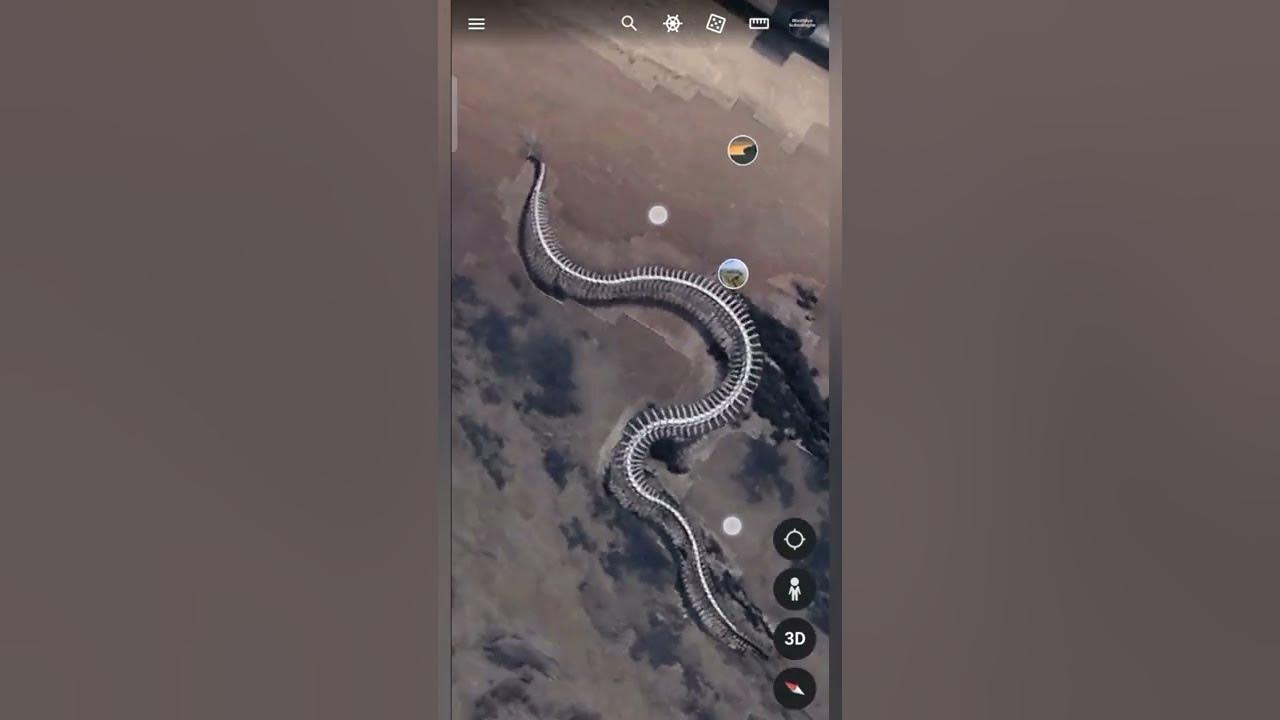 ESQUELETO DE COBRA GIGANTE ENCONTRADO. 🐍 #googleearth #foryou #google