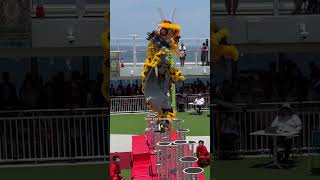 Acrobatic Lion Dance - Tian Eng Thailand 泰國天鷹龍獅學院