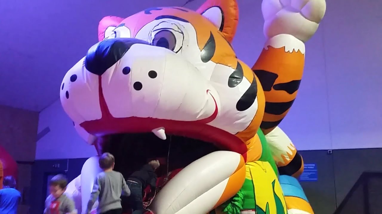 Indoor playground fun for kids with inflatable tiger. Video from KIDS