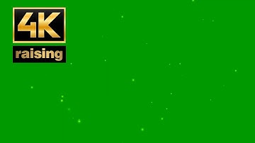 4K Fireflies raising particles effect on green screen Magic Romantic Background video