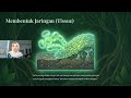 Paket B, Kelas IX/Genap, IPA, Pertemuan 6: Mengintip Rahasia Mangrove