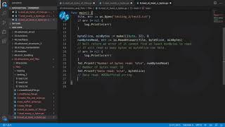 Golang Deep Dive P1 - L50 - Read Data From File