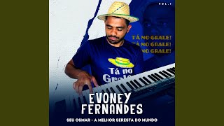 Video thumbnail of "Evoney Fernandes - Por Telefone"