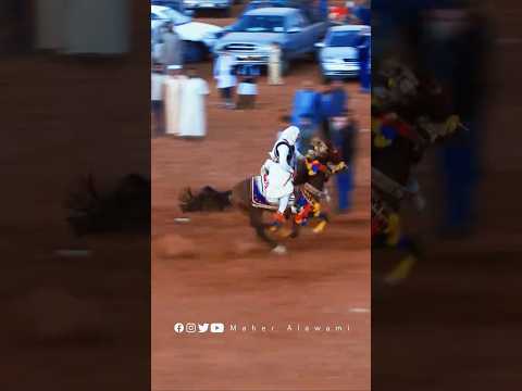 فارس برقاوي ليبي