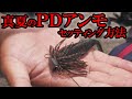 夏のスイムジグは、こうセットすると良い。【PDアンモ】