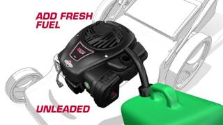 Briggs & Stratton Engine Quick Start 450E